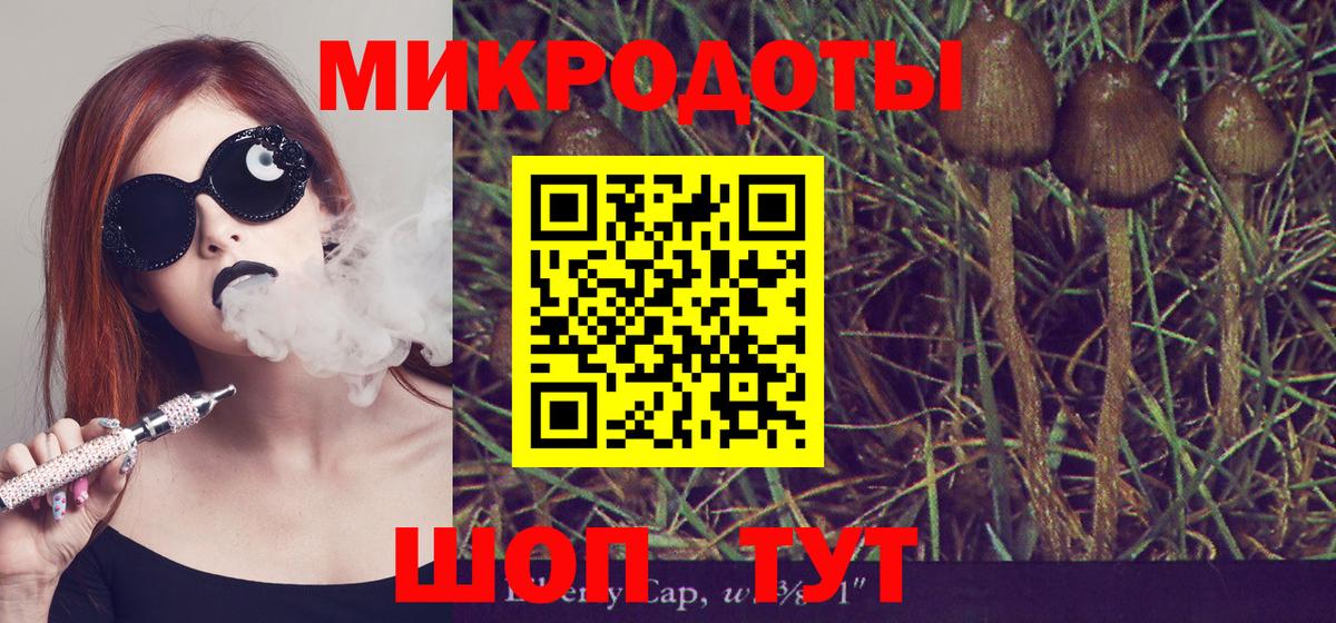 Холмск  Псилоцибиновые грибы Magic Shrooms  как найти закладки  Вход с VPN  Галлюциногенные грибы Psilocybine cubensis 